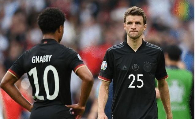 专业的营养 专业的营养