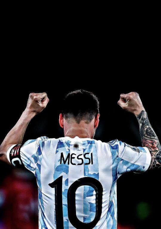 稳定产出的 稳定产出的